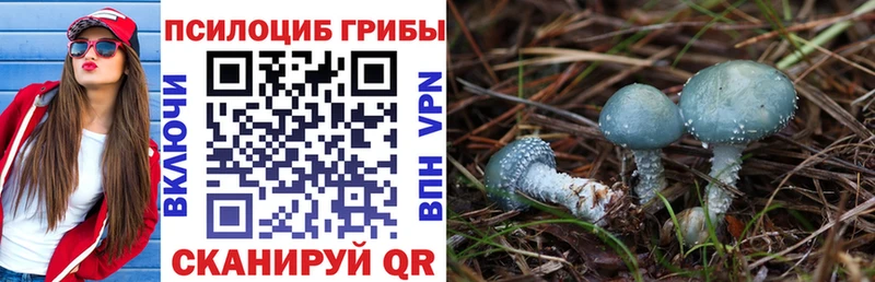 наркота Осинники Галлюциногенные грибы прущие грибы